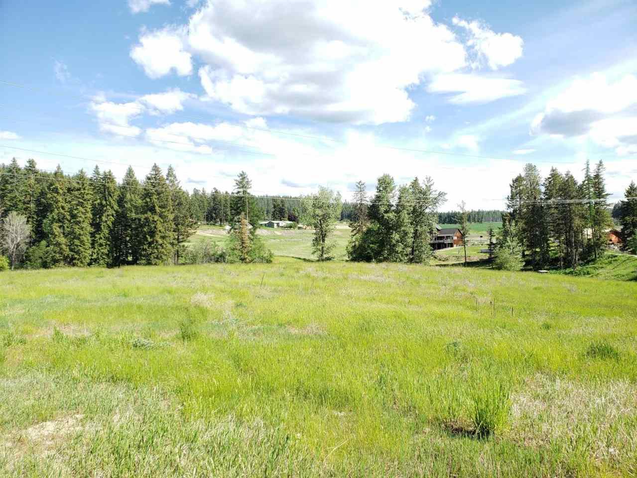 2040 Ringneck Loop - Photo 1