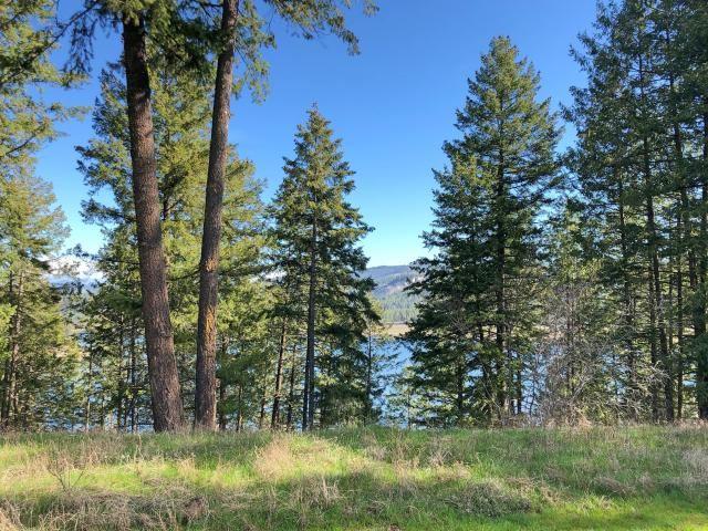 Lot 3 Eagles Cove Way - Photo 1