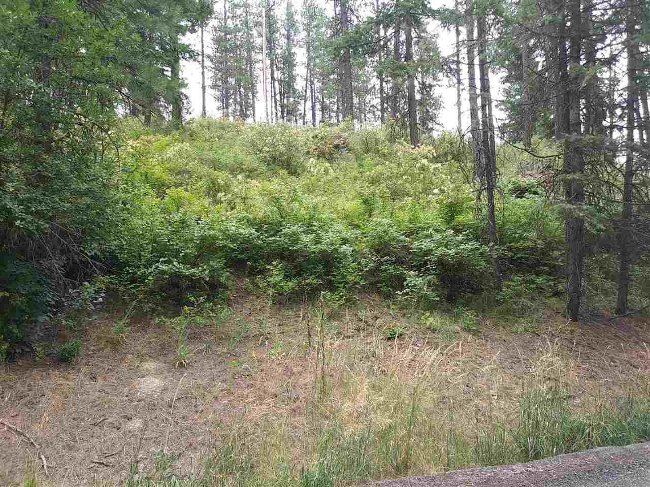 19XXX Holcomb Rd - Photo 1