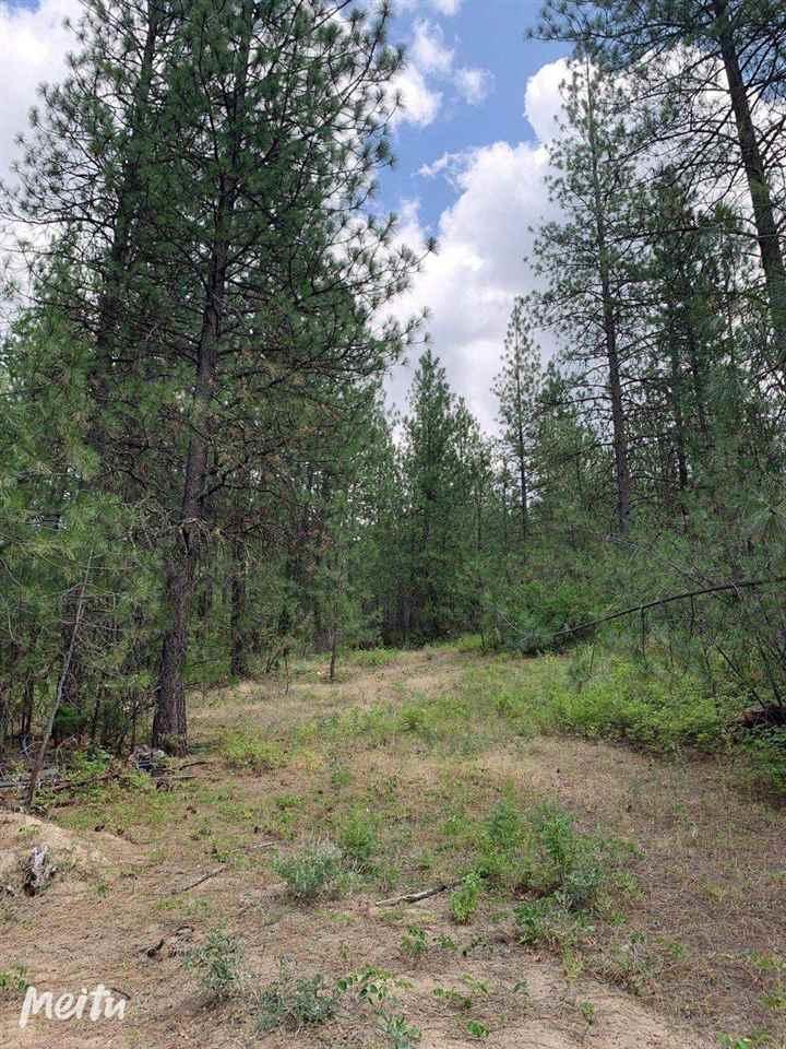 5069 Rail Canyon Rd - Photo 1