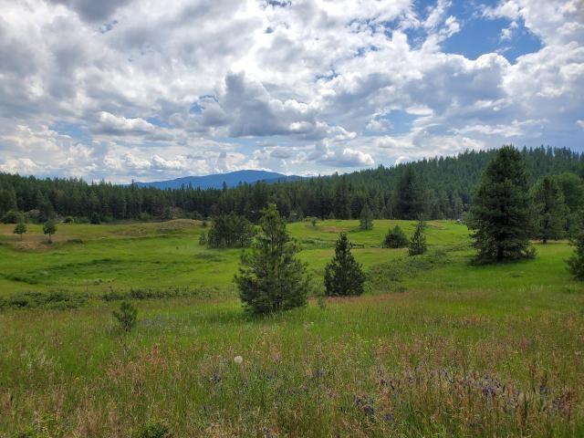 6XX Rocky Lake Rd - Photo 1