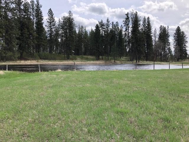 16409 Graham Rd - Photo 1