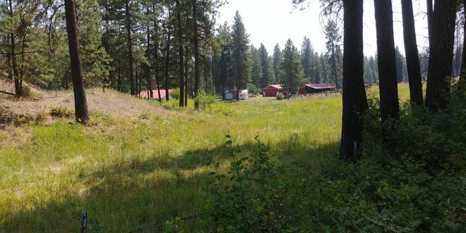 1161 Inhelium Hwy - Photo 1