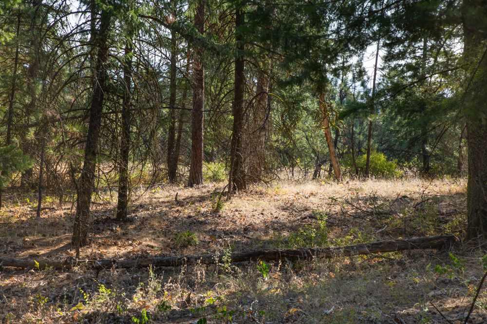 NKA Five Mile Rd - Photo 1