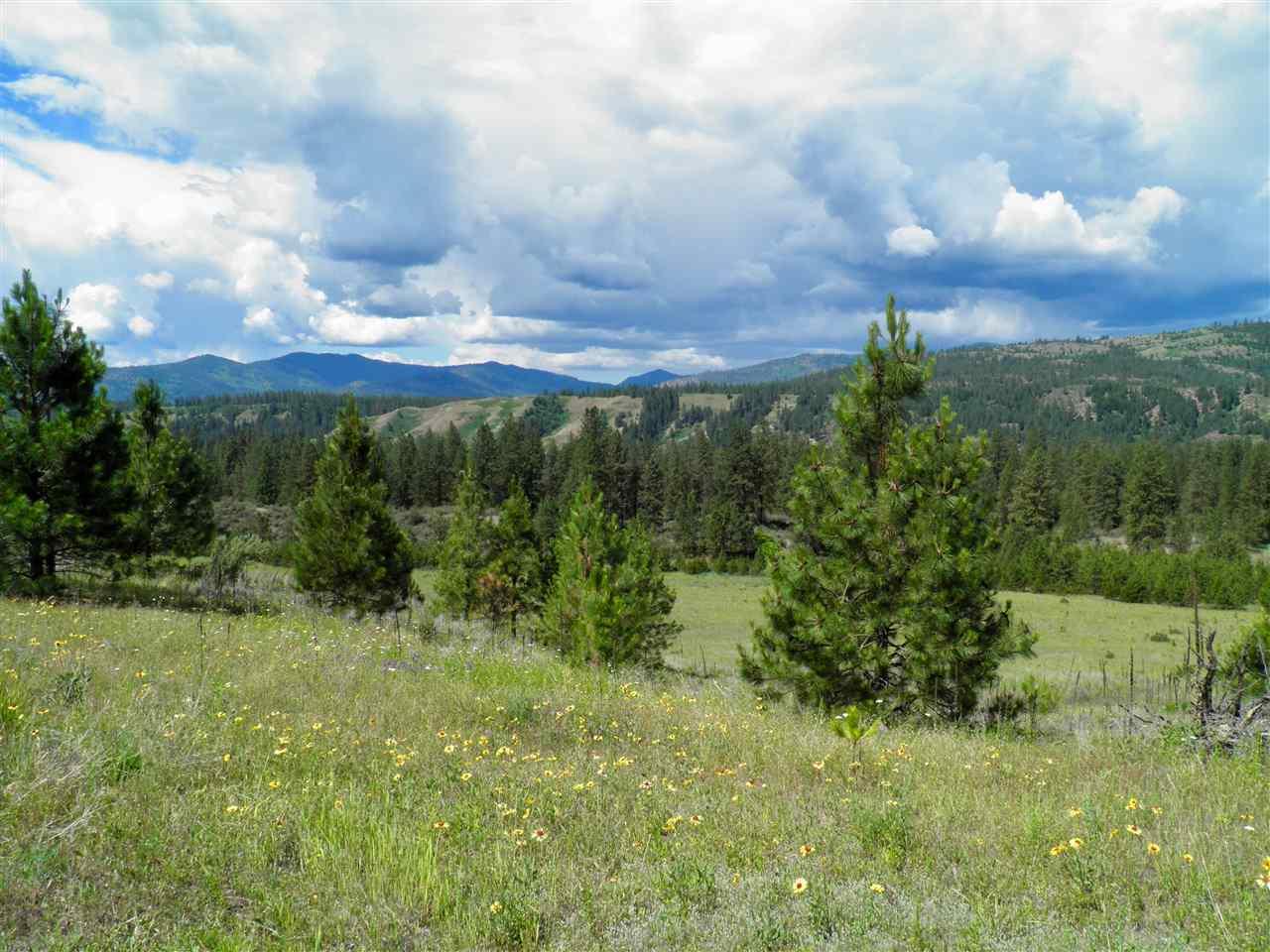 4422 Hwy 25 S - Photo 1