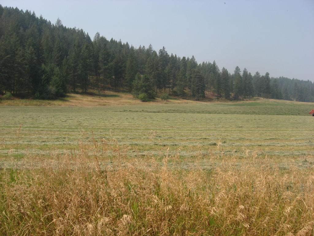 16XX B Zimmer Rd - Photo 1