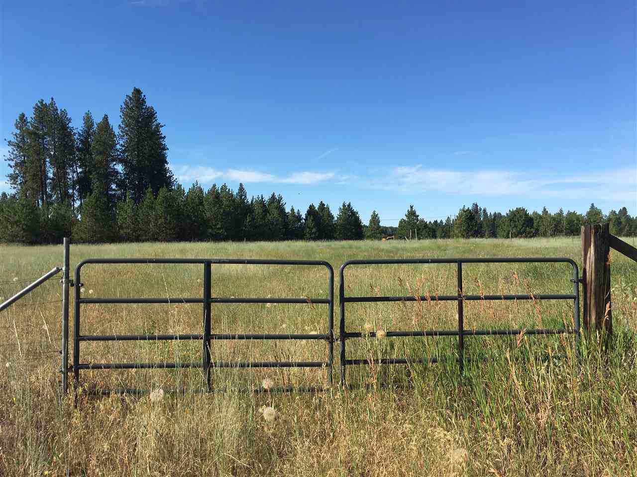 6606 Spotted Rd - Photo 1