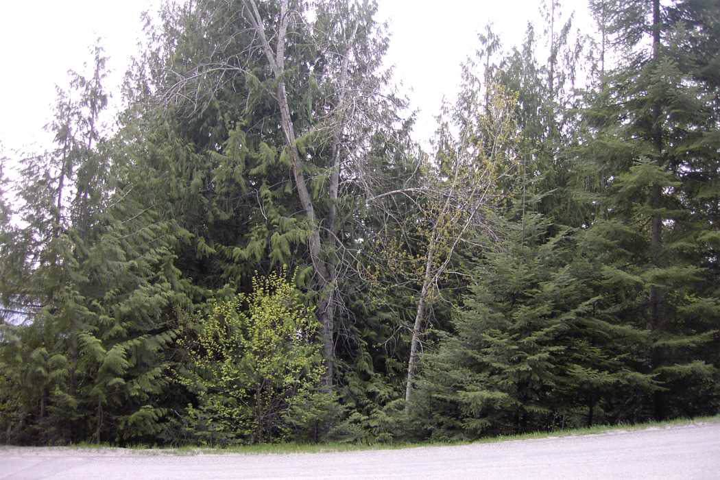 4103 Southwood Shores Rd - Photo 1
