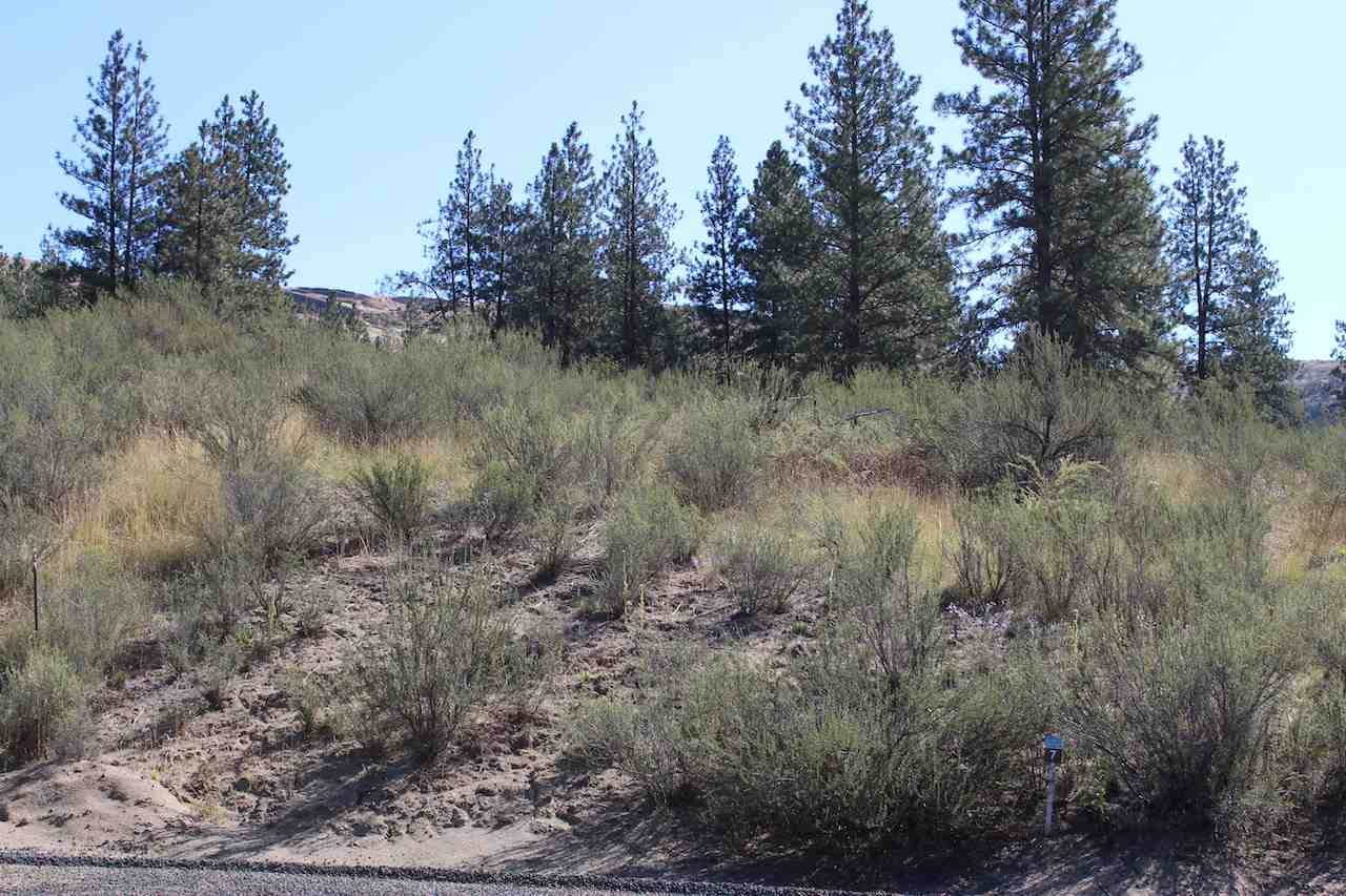 25776 Pine Cone Ct - Photo 1