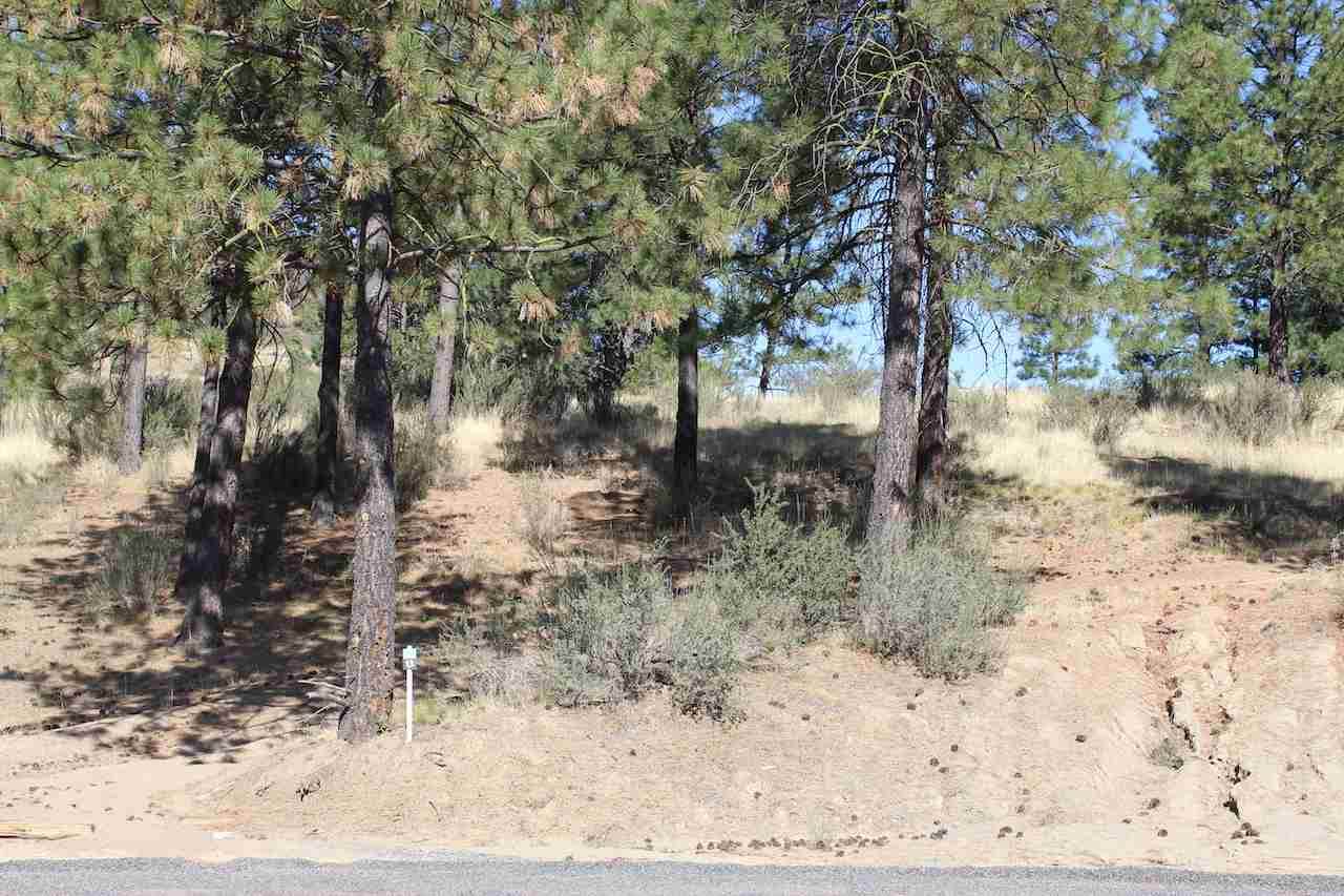 25655 Pine Cone Ct - Photo 1