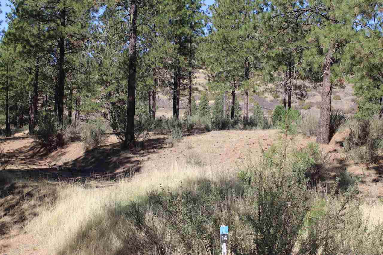 37825 Timber Ln - Photo 1