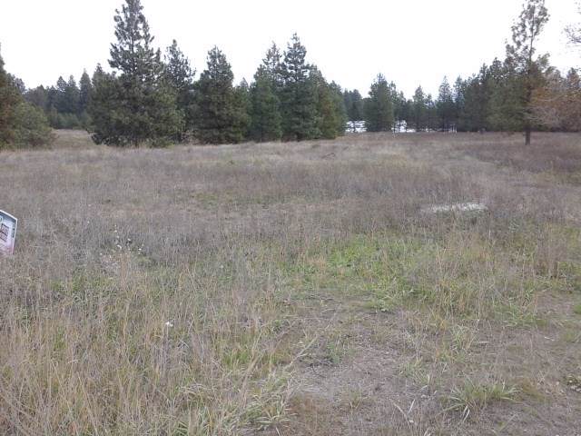 31016 Austin Rd - Photo 1