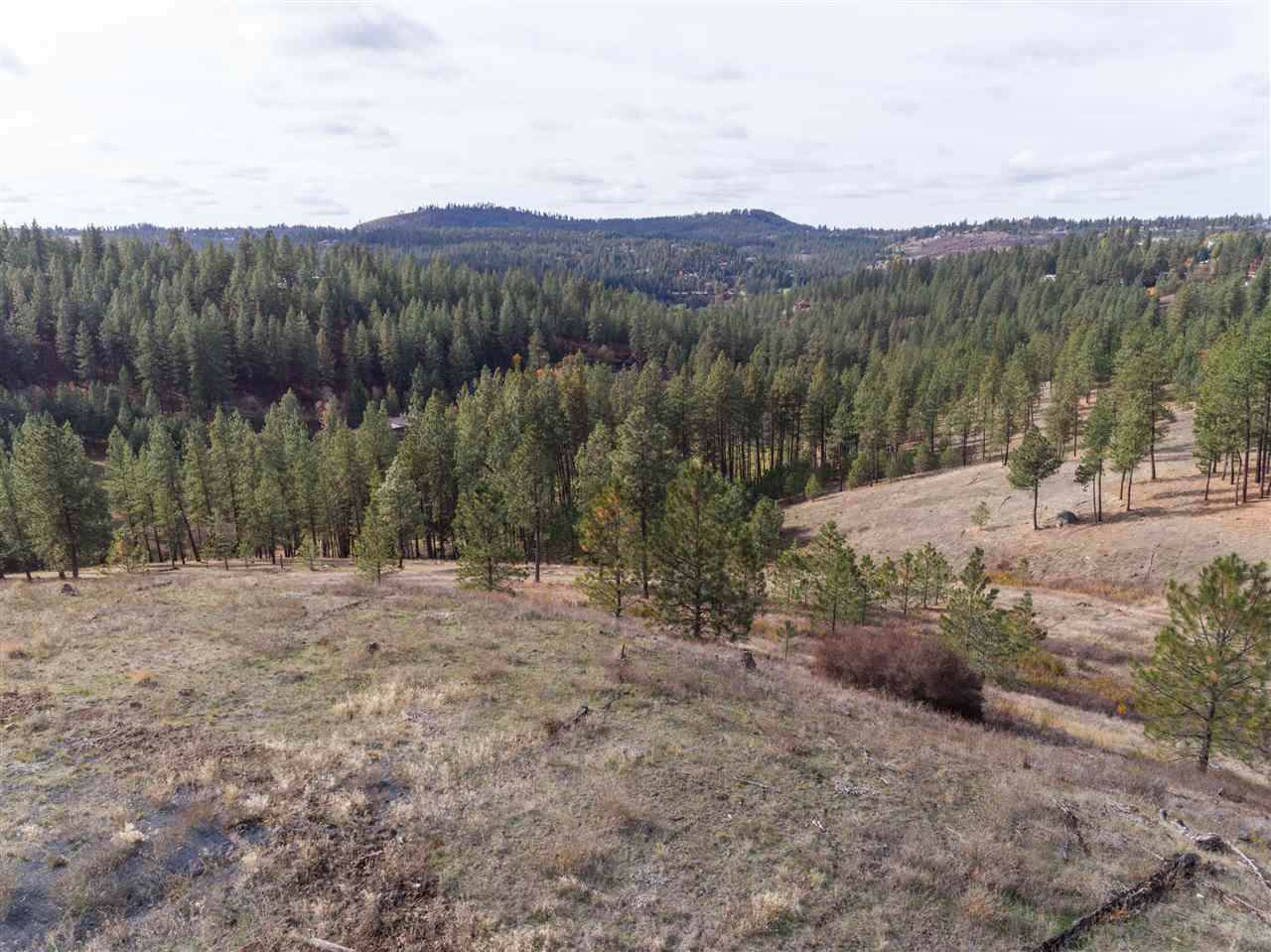12298 Valley Chapel Rd - Photo 1