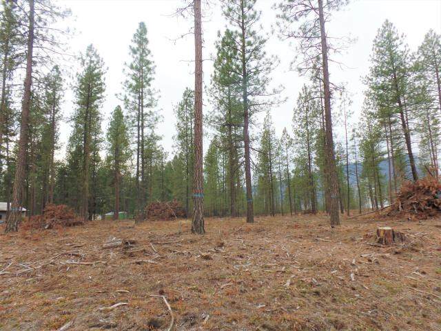 Lot #1 Fumi Cir - Photo 1