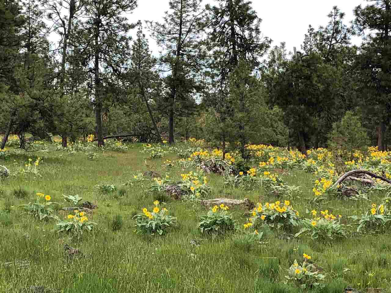 000 Harrison Rd - Photo 1