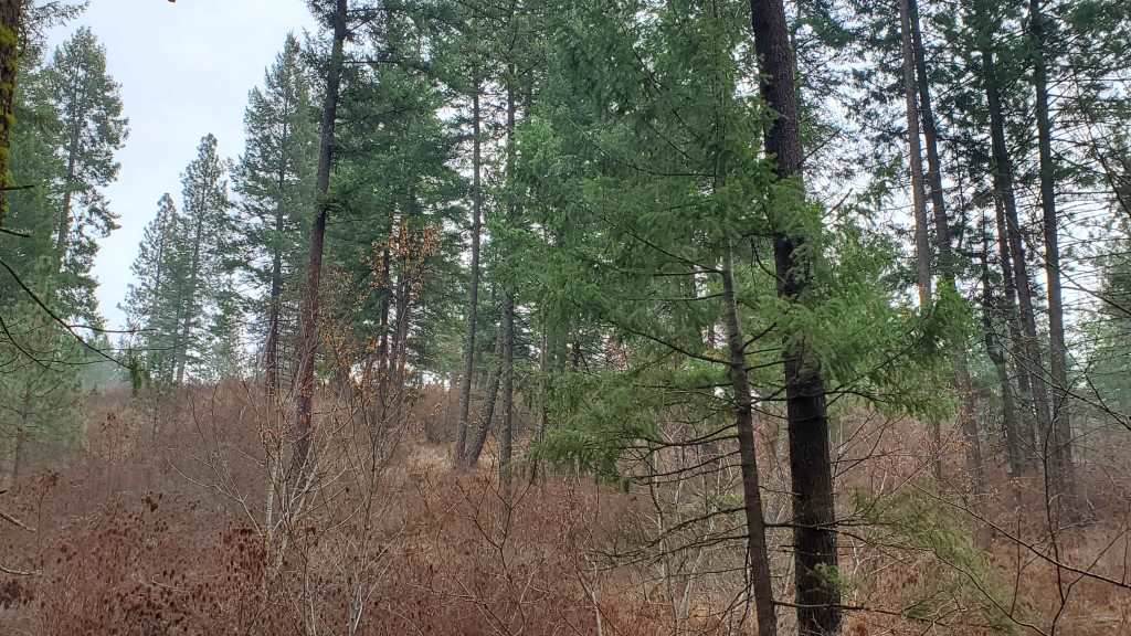 16xxx Cooper Rd - Photo 1