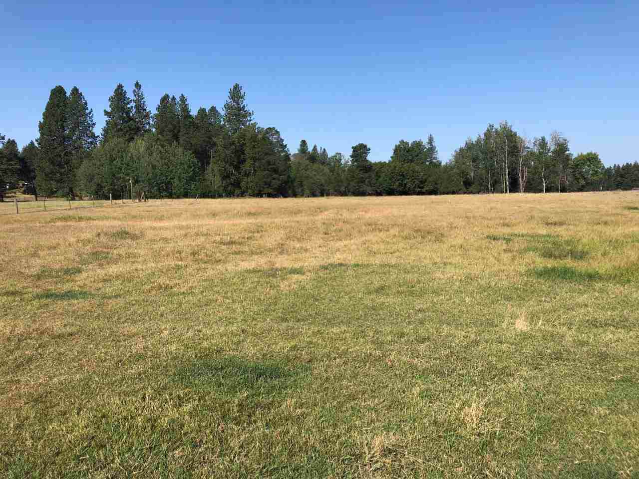 360XX Conklin Rd - Photo 1