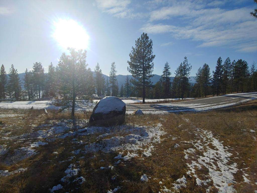 XXX Palmer Loop Crest Ll Lot 34 Rd - Photo 1