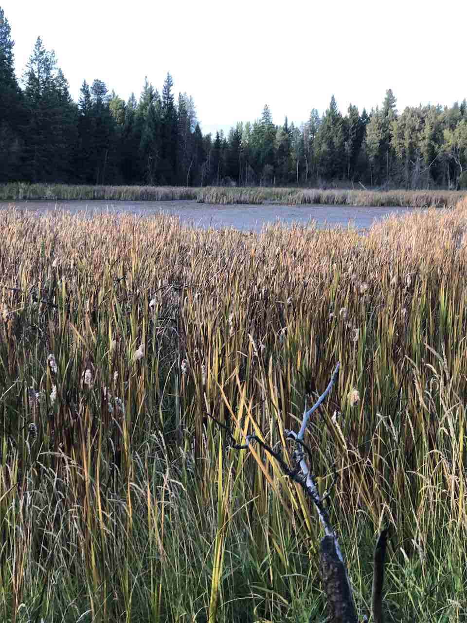 Lot 5 Stanley Ct - Photo 1