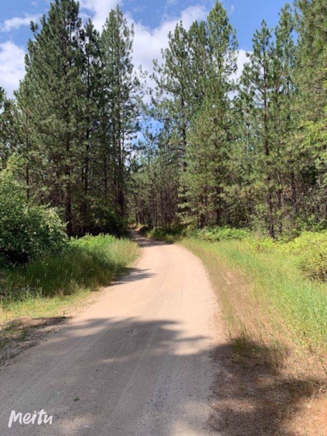 5069 Rail Canyon Rd - Photo 1
