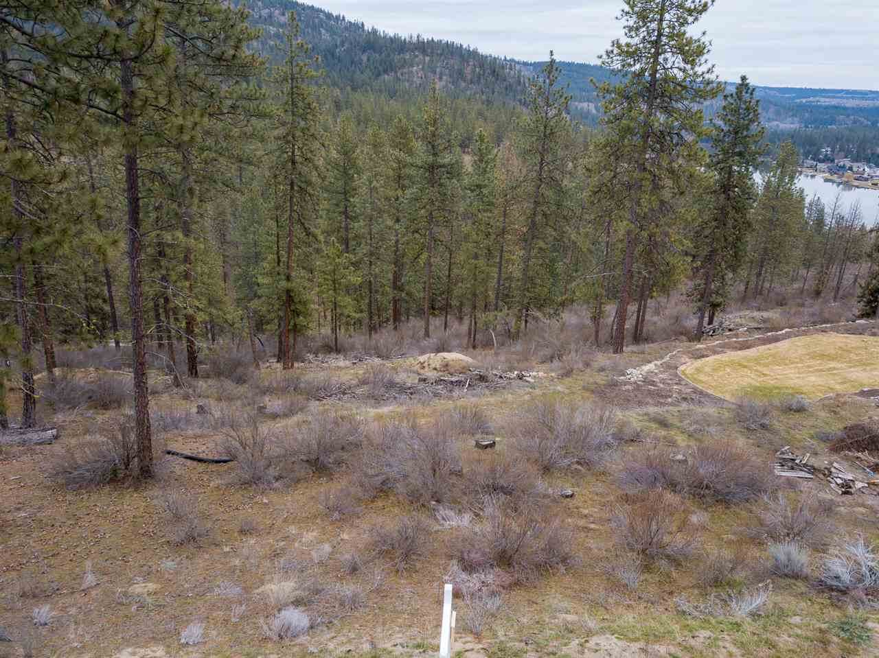 163XX Lakeside Ln - Photo 1