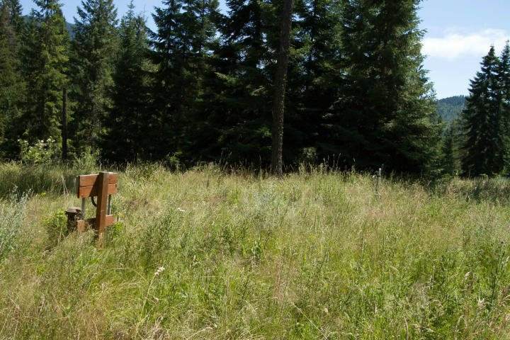 767 Finley Gulch Rd - Photo 1