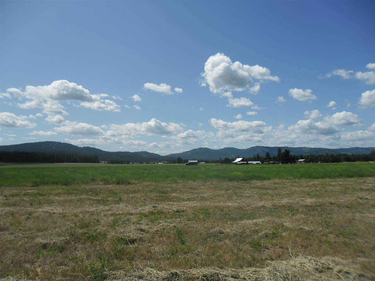 XXXX Wallbridge Rd - Photo 1