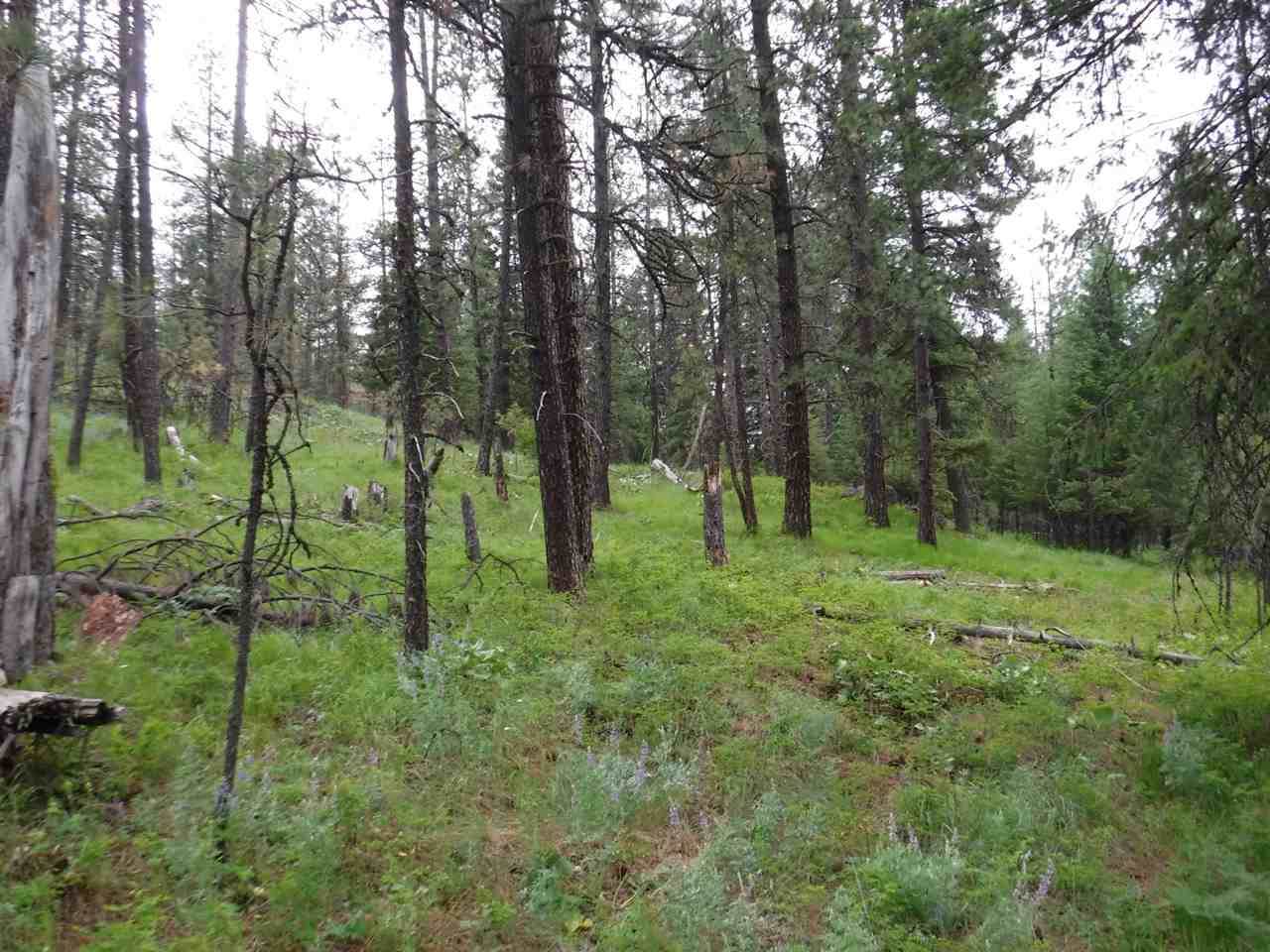 Bigfoot Ln - Photo 1