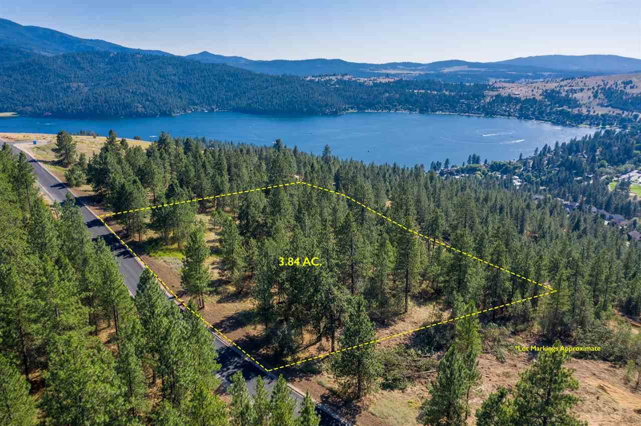 217 Blue Skies Ln - Photo 1