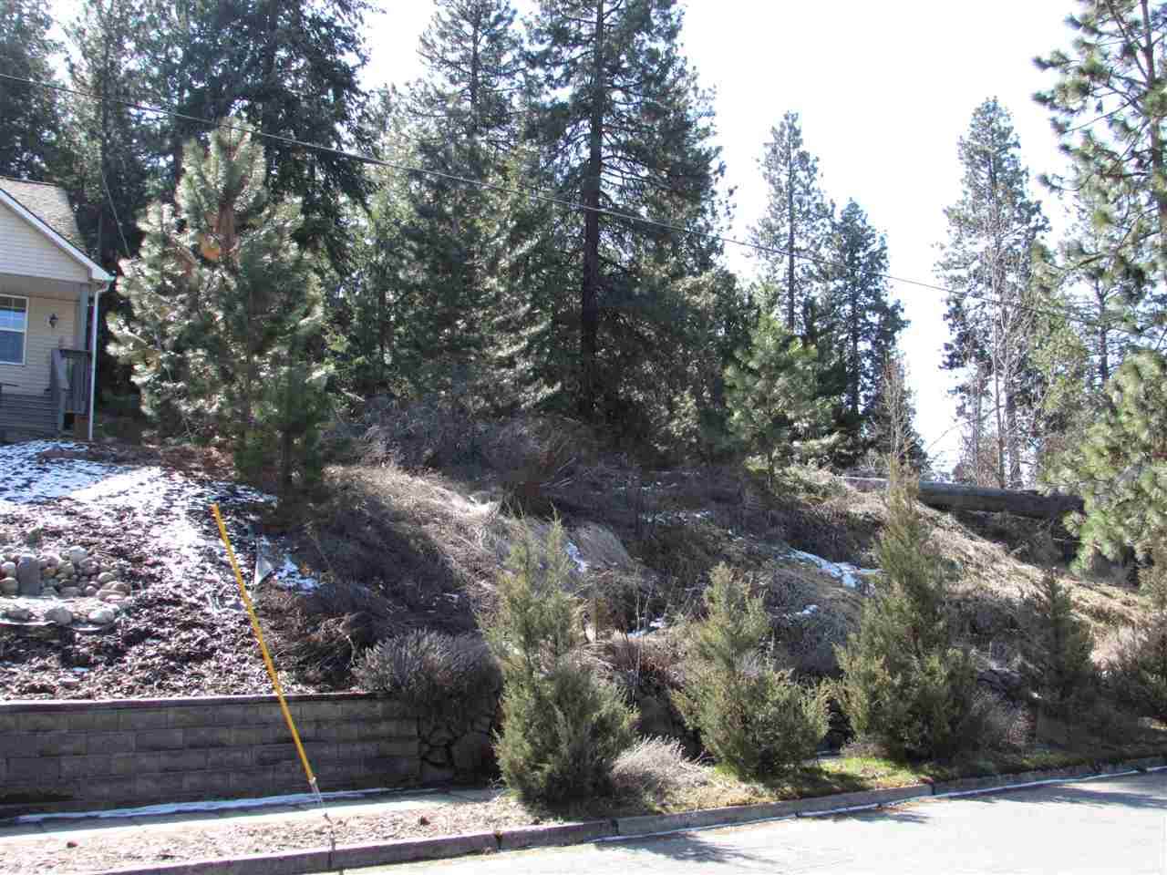 4104 17TH Ave - Photo 1