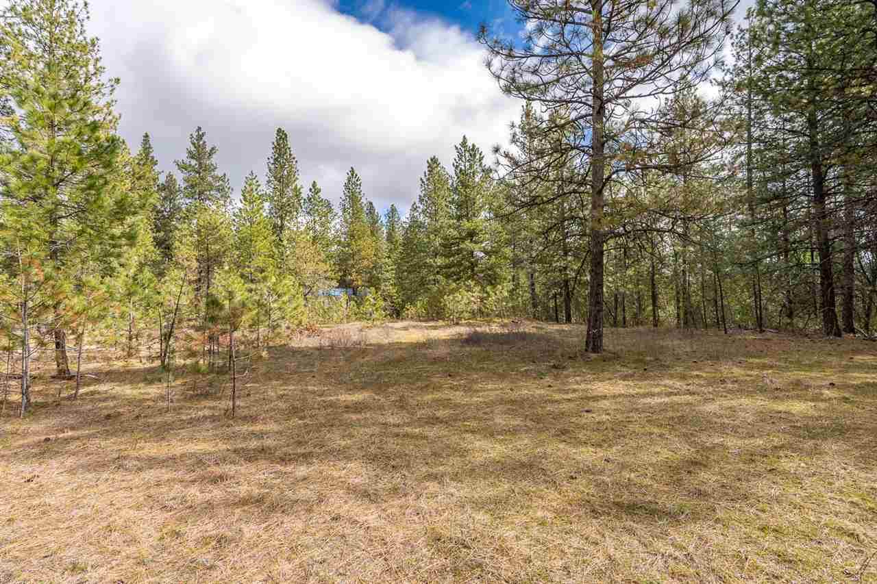 27934 Piney Ridge Rd - Photo 1