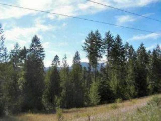 Lot 1 Greenhouse Rd - Photo 1