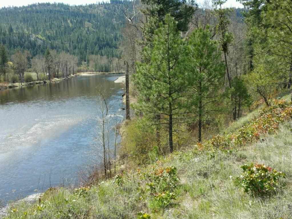 183XX Hwy 21 Hwy - Photo 1 183XX Hwy 21 Hwy - Photo 1