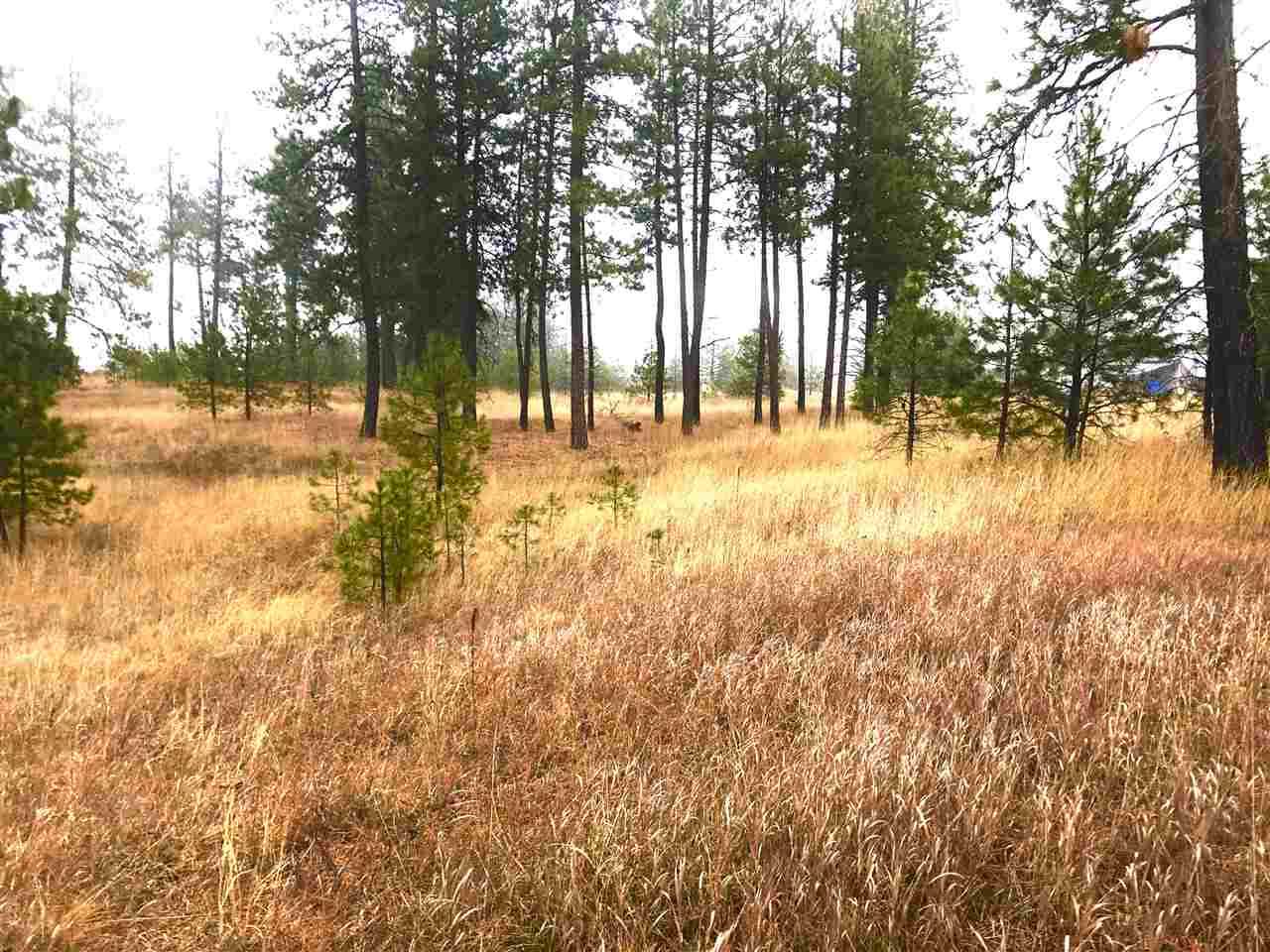 0000 Christensen Rd - Photo 1