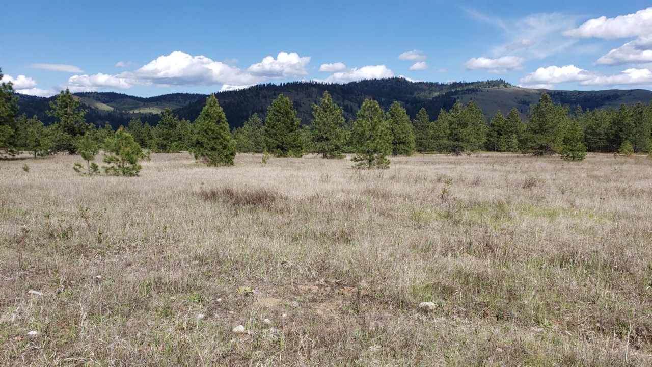 Lot 1 Saddle Ridge Rd - Photo 1 Lot 1 Saddle Ridge Rd - Photo 1