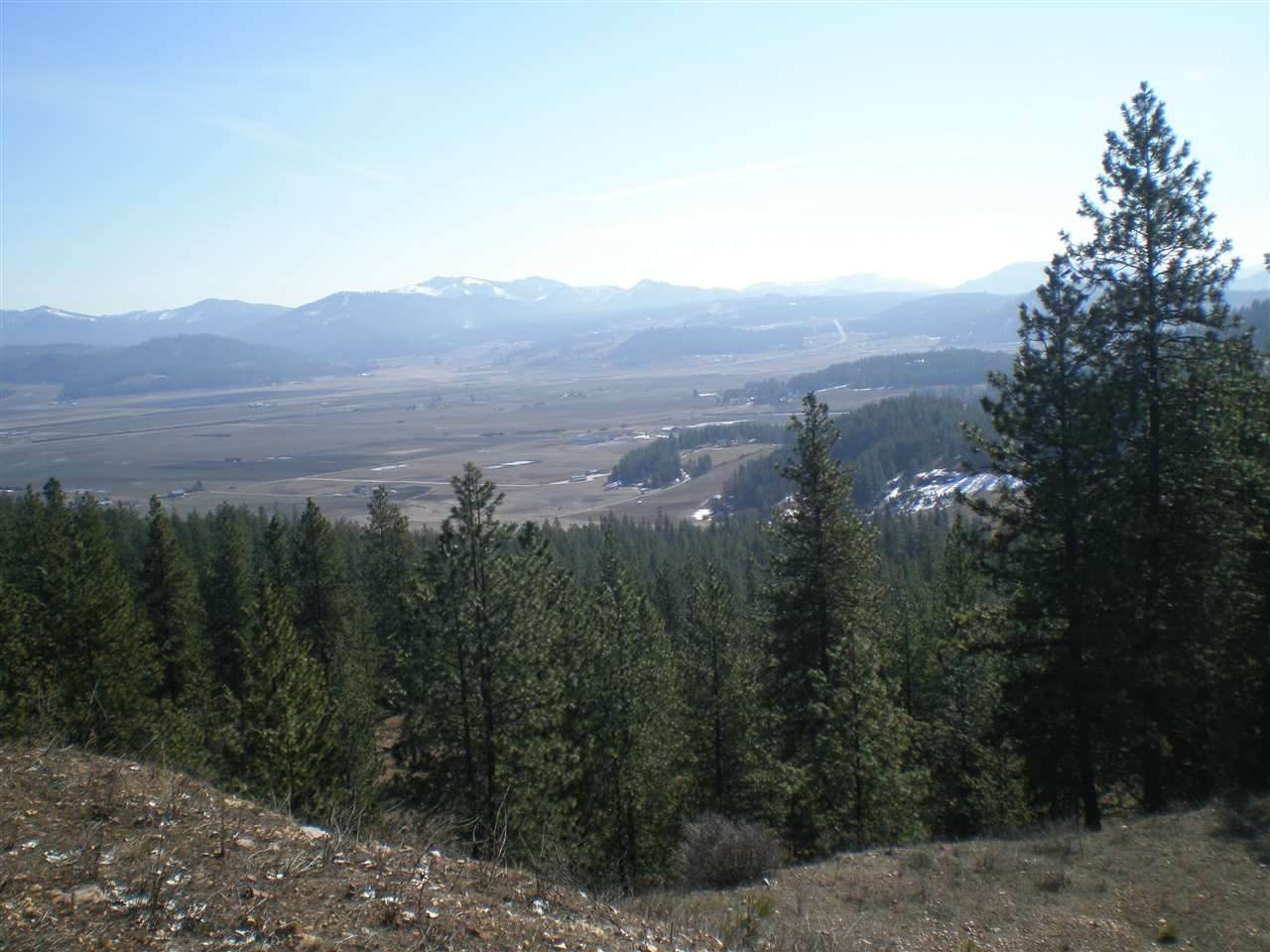 261X Pine Top Way - Photo 1 261X Pine Top Way - Photo 1