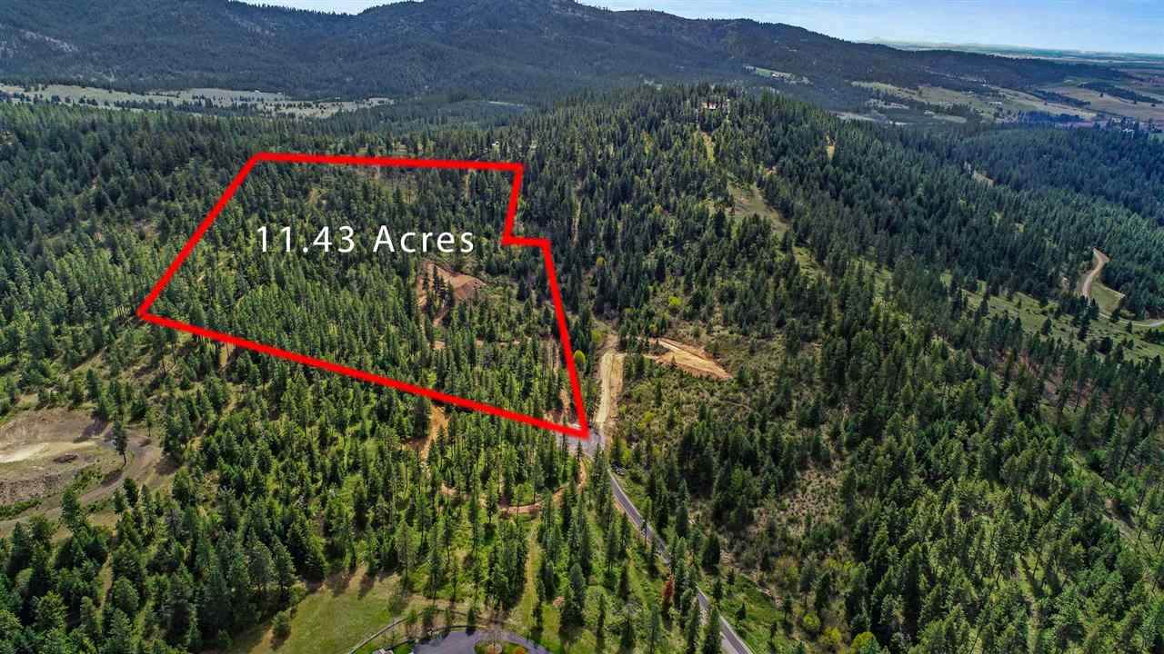 0xxx Bridle Trail Ln - Photo 1