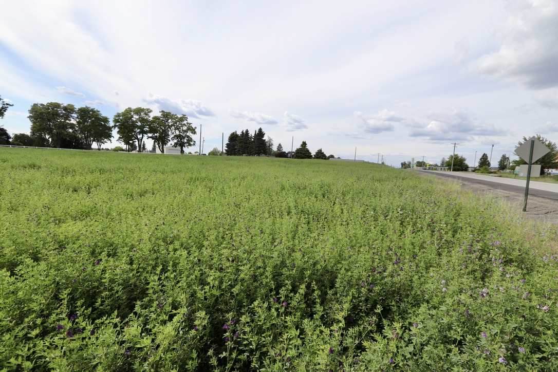 6317 Waneta Approx. Rd - Photo 1