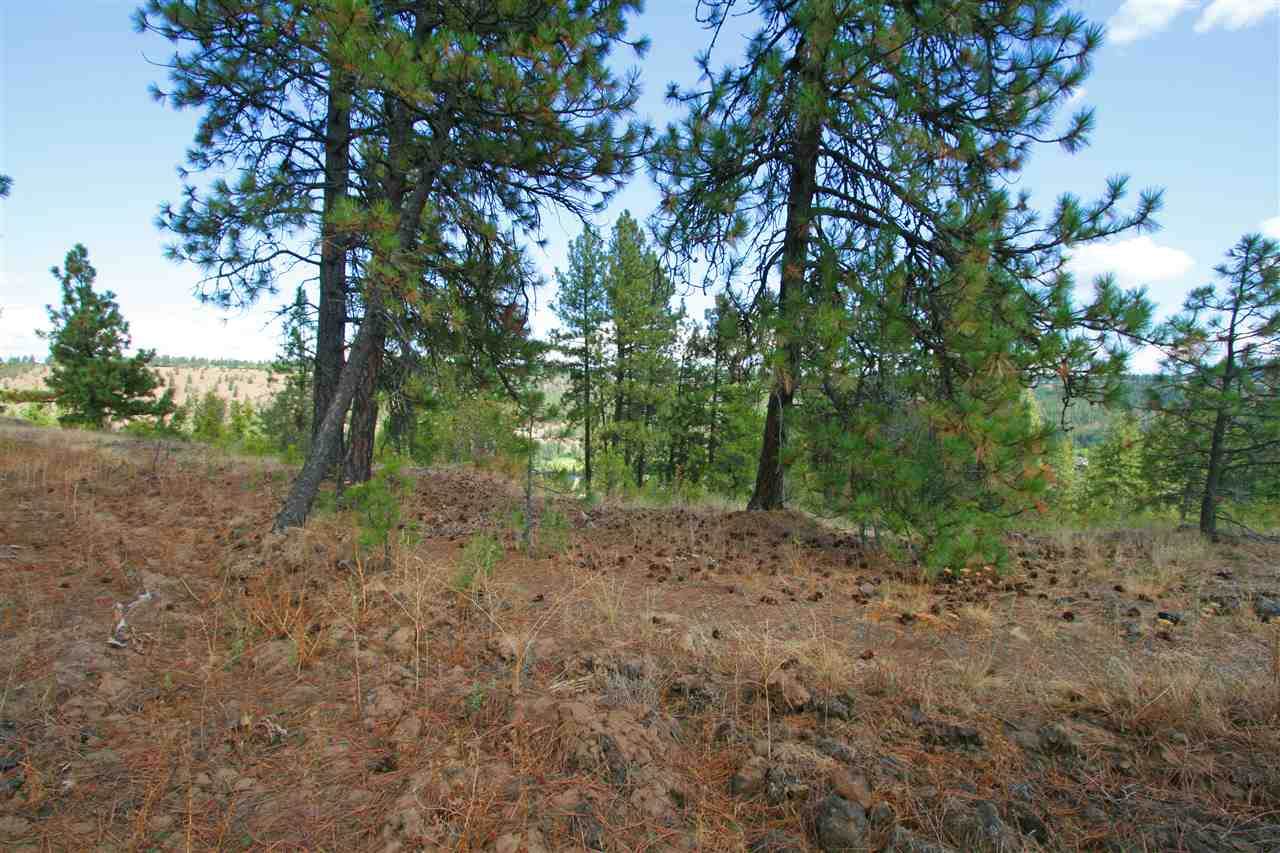 5229 Falcon Point Ct - Photo 1