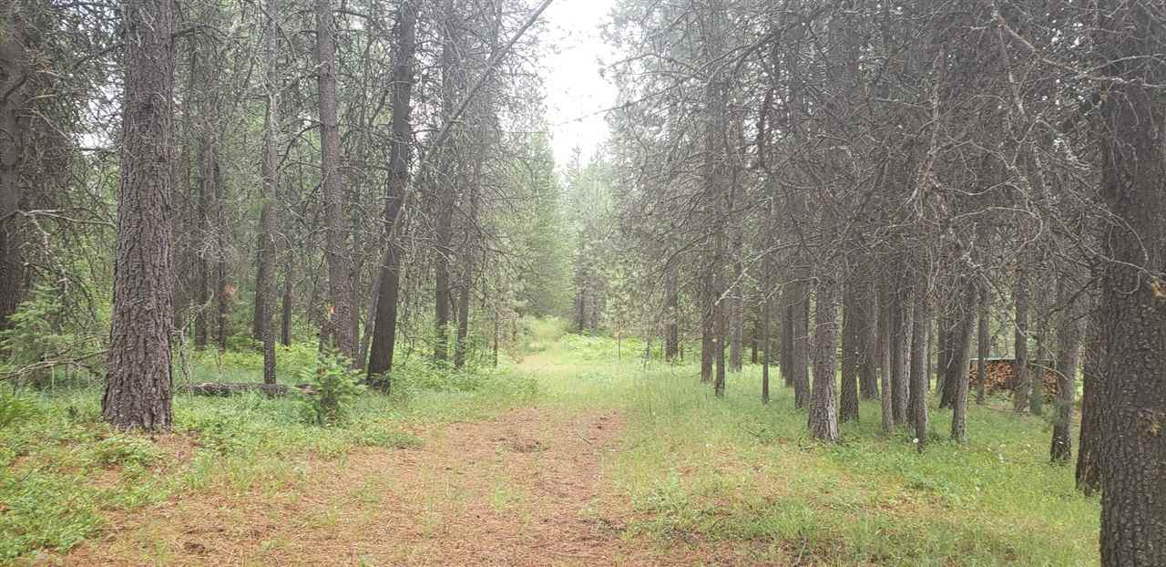 131 Frost Loop - Photo 1