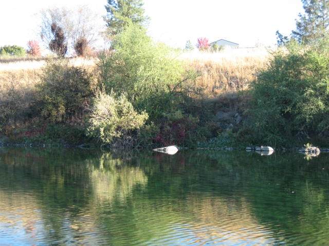 Lot 25 Coyote Rock Ln - Photo 1