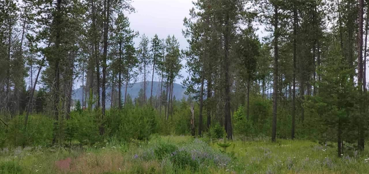 12417 Bridges Rd - Photo 1