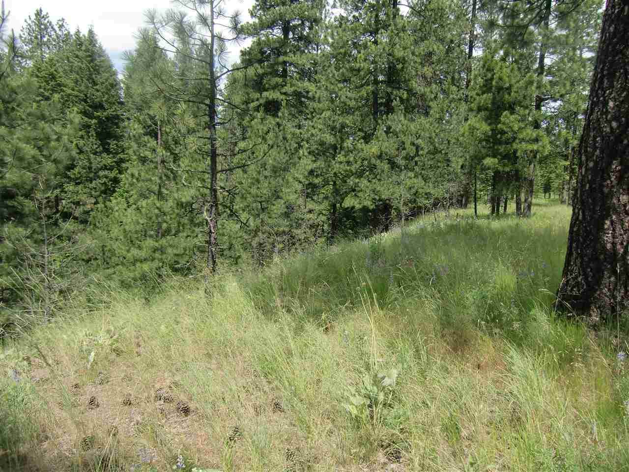 Lot 11 Diamond Heights Rd - Photo 1