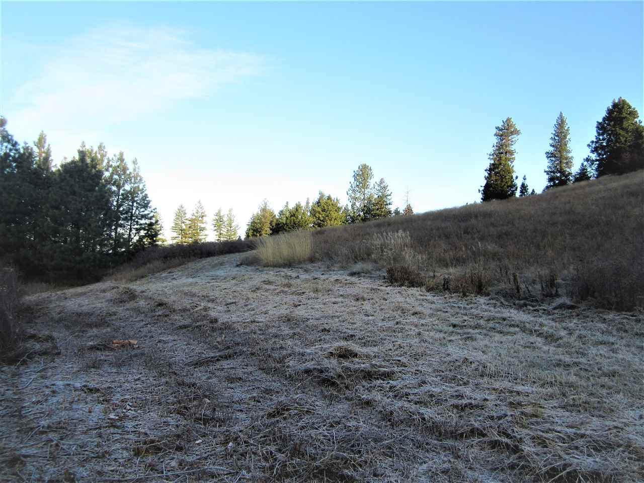 184XX Hazard Rd - Photo 1