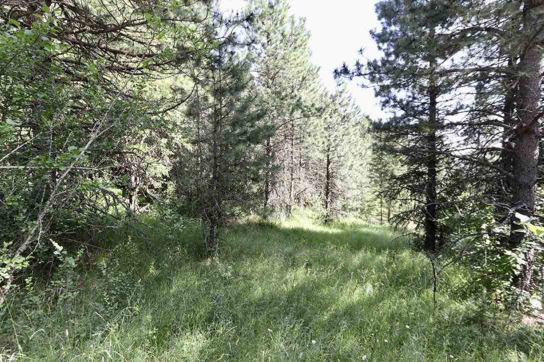 10897 Harvard (Approx) Rd - Photo 1