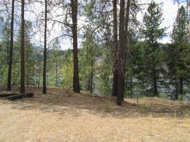 2400-2500 Hutson Jones Way - Photo 1