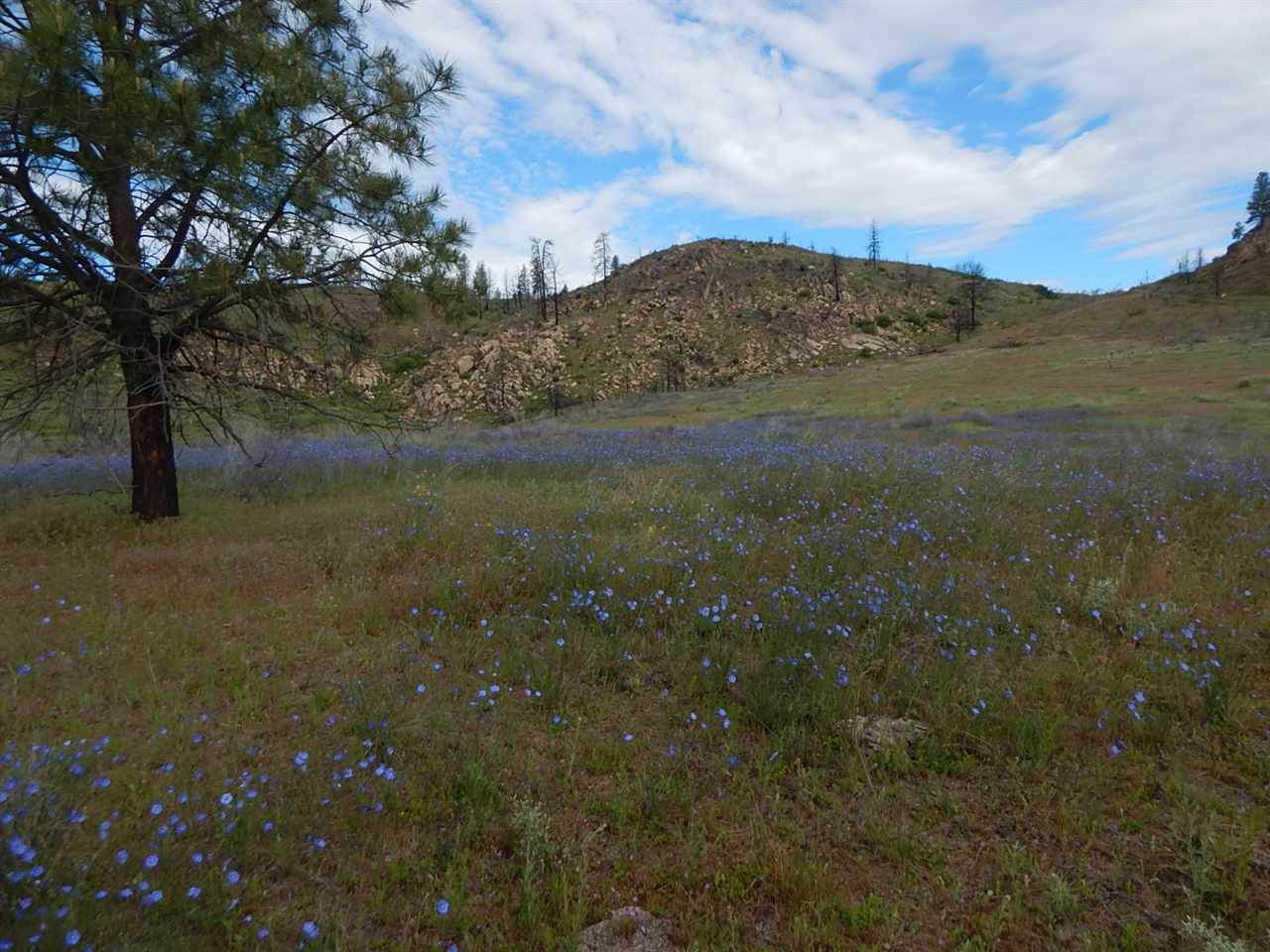 000 Coyote Ln - Photo 1