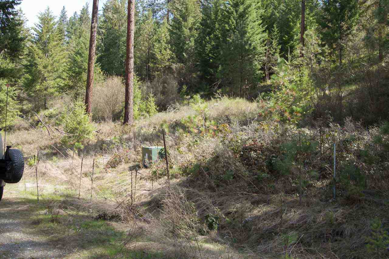 NNA Eagle River Way - Photo 1