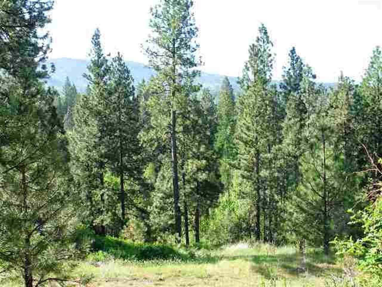00 Quinimose & Redfeather Rd - Photo 1