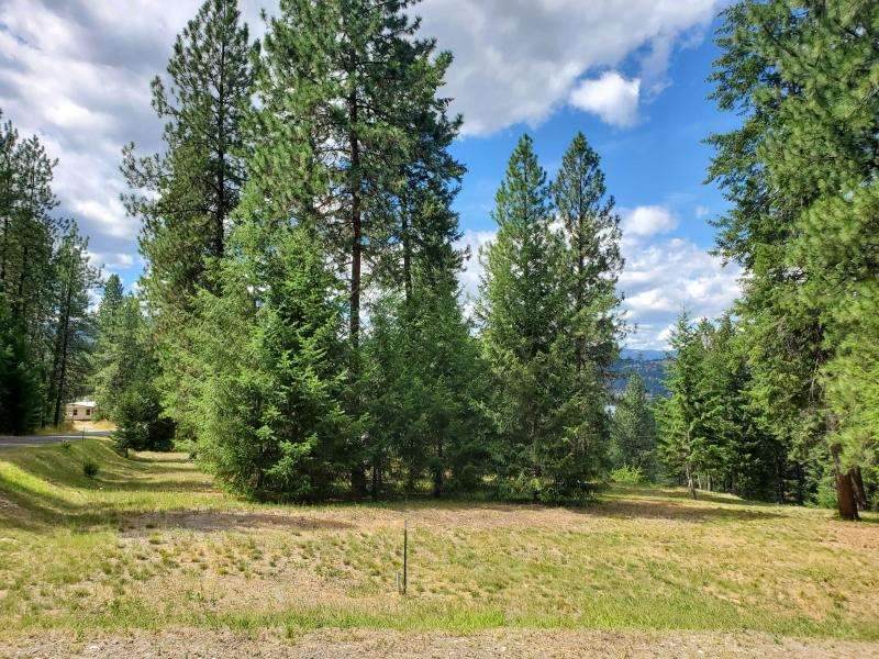 Lot E Marcus Campground Rd - Photo 1